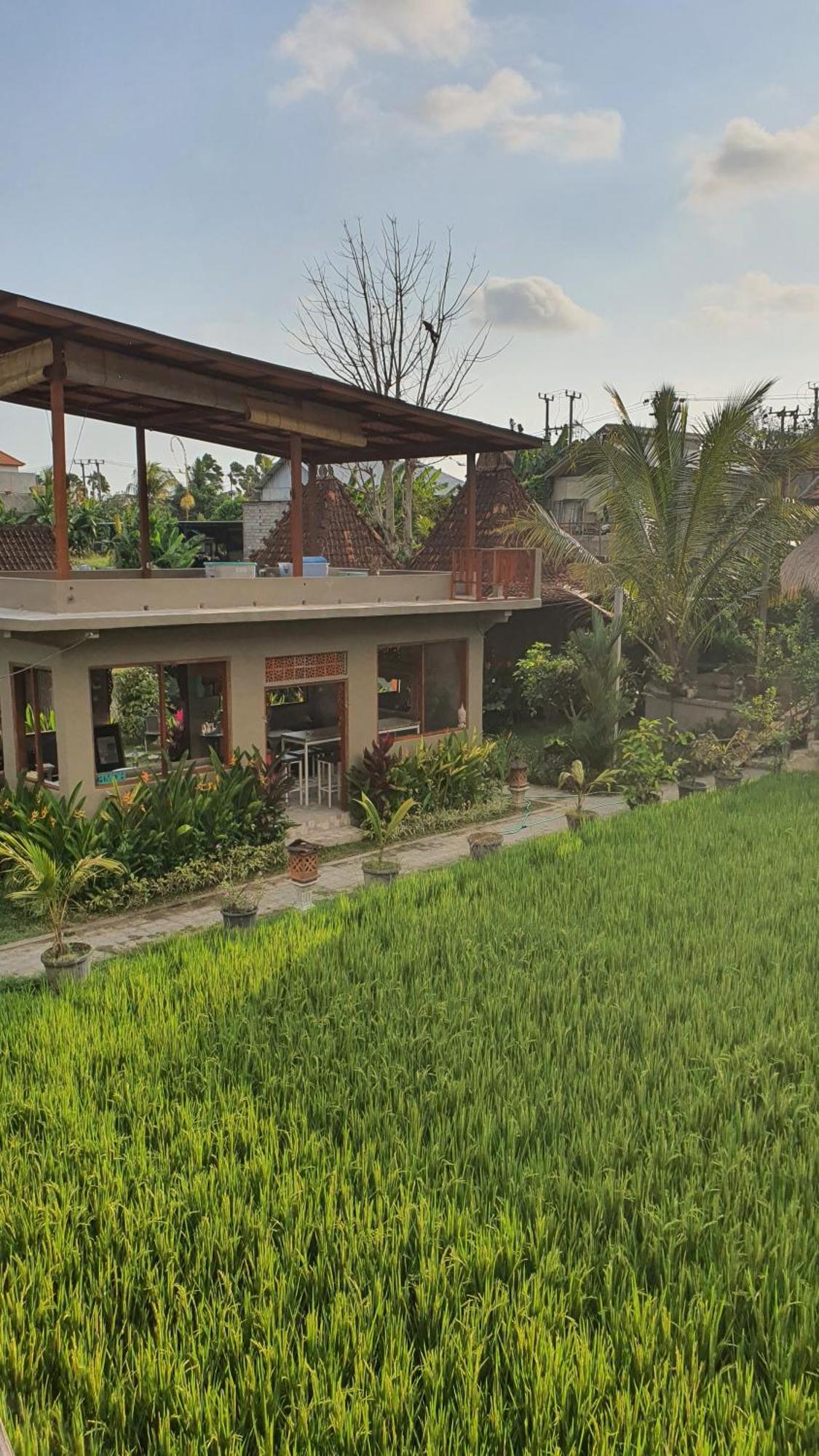Ubud Rice Field House Exterior photo